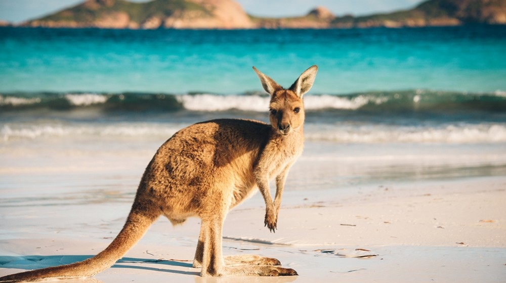 The benefits of studying in Australia